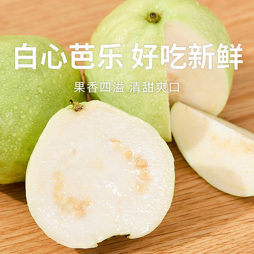 【芭乐】树熟芭乐果香四溢清甜爽口 冰淇淋口感软糯香甜（红心/白心） 商品图0