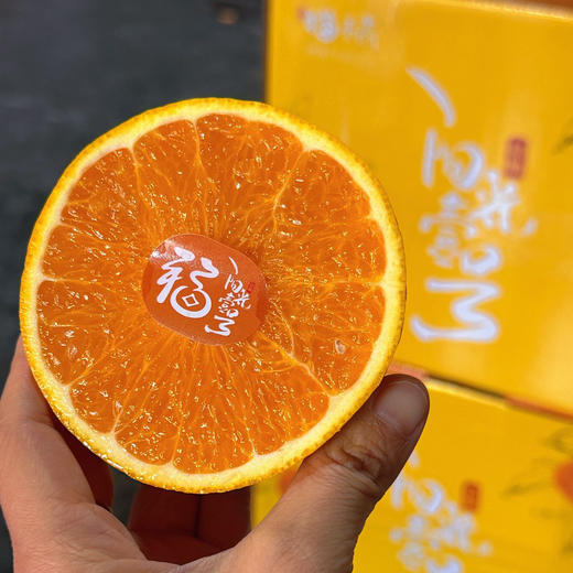 阳光一号桔柚 皮薄多汁鲜甜现摘先发 商品图1