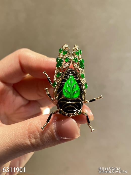 6311901，知了胸针。具体价格微信咨询 商品图6