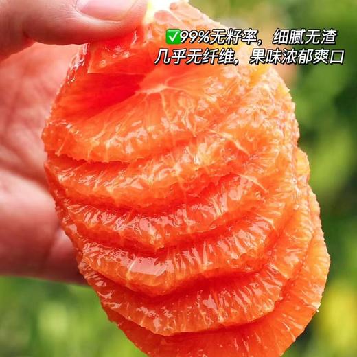 【秭归中华红橙】脐橙之乡湖北秭归新鲜采摘发货，皮薄肉厚，果肉脆嫩化渣，汁多味浓，橙子中的颜值担当 商品图7