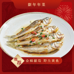 【金鳞献瑞】野生黄鱼380g/5条 蒜瓣肉质 鲜嫩美味