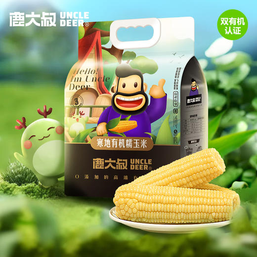 【源自黑龙江❗️有机糯玉米】新鲜农家白玉米棒子，嫩玉米糯蔬菜，糯润可口，现摘现发，新鲜采摘，香甜软糯，放心吃进口中老年健康L-d 商品图0