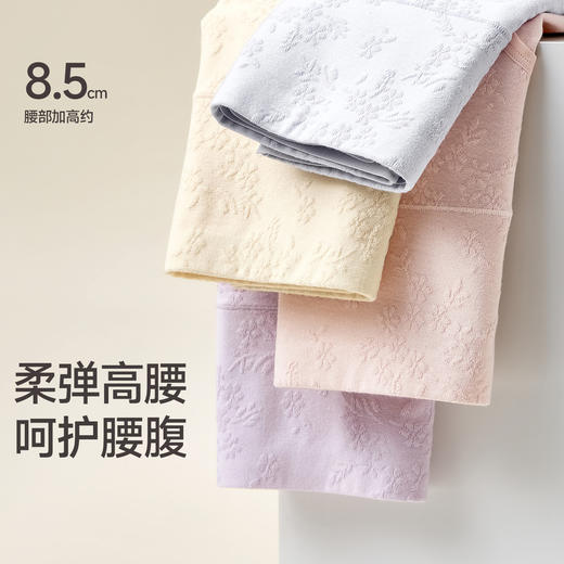 芬腾女士内裤10A级抗菌防螨棉质裆高腰棉质三角裤透气舒适短裤头 商品图2