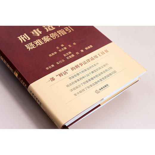 刑事适用疑难案例指引 周其华 孙之智 王收主编 法律出版社 商品图2