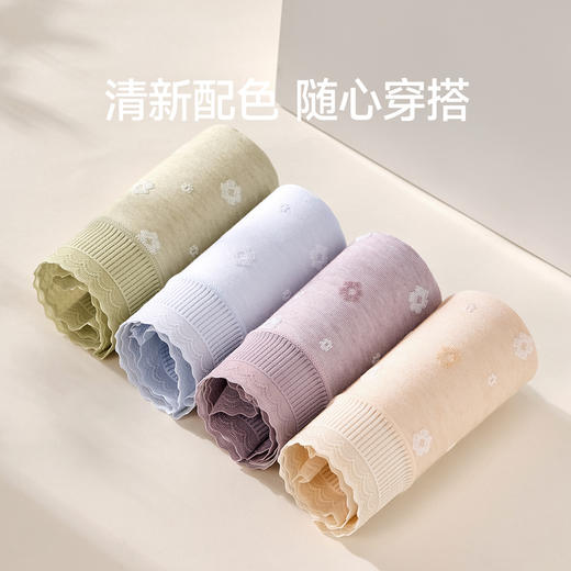 芬腾中腰女新款内裤yc0225015 商品图4