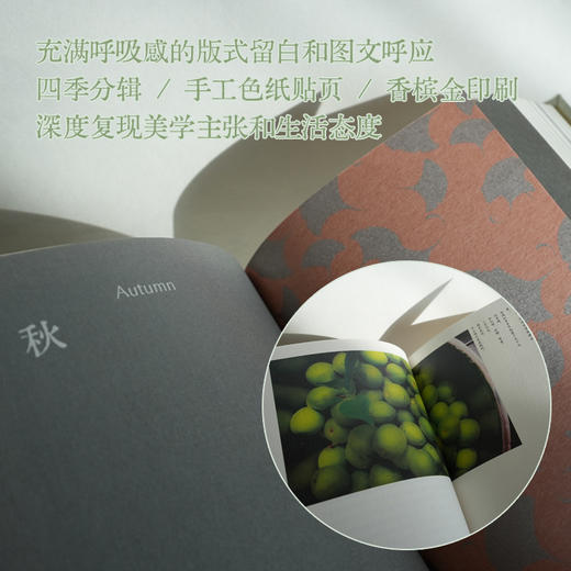 冶春笔记 商品图6