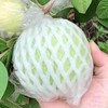 【芭乐】树熟芭乐果香四溢清甜爽口 冰淇淋口感软糯香甜（红心/白心） 商品缩略图9