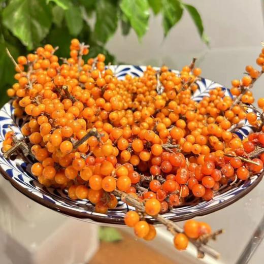 大黄米沙棘年糕 500g      切记！切记！切记！无需解冻，直接上锅蒸透变软即可。 商品图3