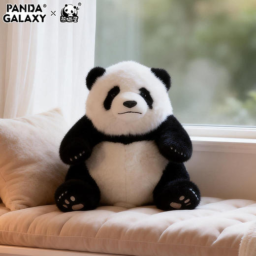 熊猫屋PANDA GALAXY 盖世 熊猫公仔 熊猫香薰公仔  花花七仔福宝 商品图4