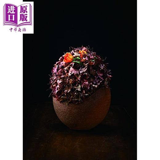 预售 【中商原版】Formidable Florists 进口艺术 强大的花店 商品图4