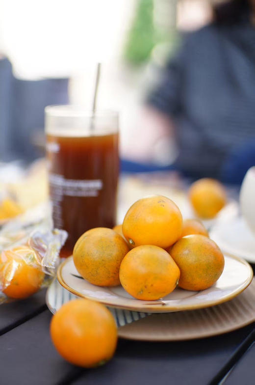 脆蜜金柑果王（金桔）3斤（36-39颗） 商品图2