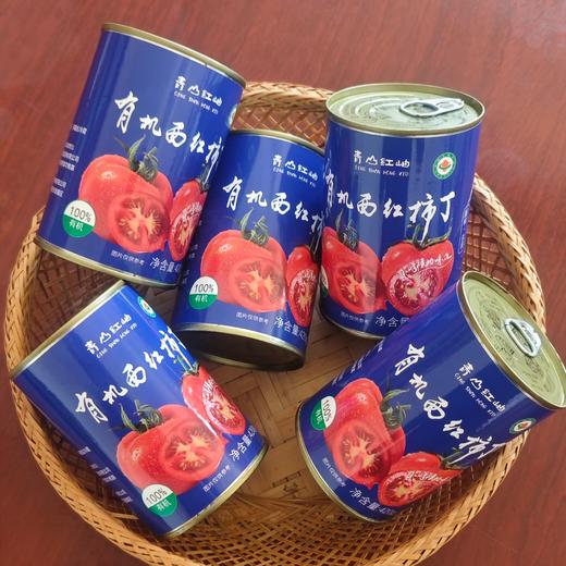 有机西红柿丁 番茄酱 配料只有新鲜西红柿 味道浓郁 炒菜火锅都可 省工省时 商品图0