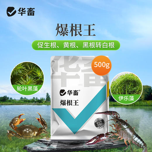 华畜爆根王壮根肥水草生根保草促长改底改善水质长根宝水草生根粉 商品图0