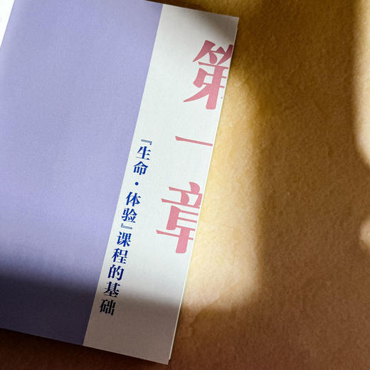 激扬生命 畅享童年 幼儿园“生命·体验”课程的开发与实践 商品图6