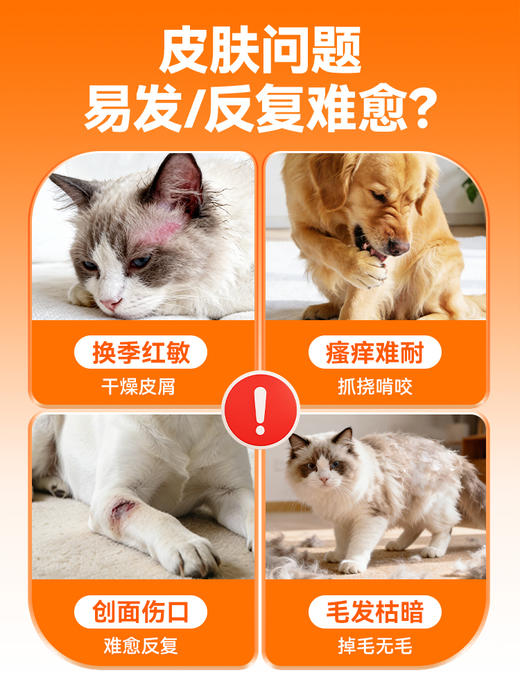 普安特内服养护片猫狗通用猫藓狗藓专用皮肤焕彩片宠物营养补充剂 商品图1