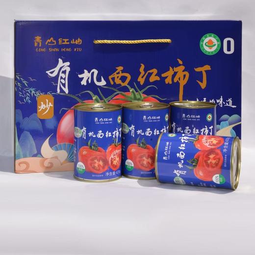 有机西红柿丁 番茄酱 配料只有新鲜西红柿 味道浓郁 炒菜火锅都可 省工省时 商品图2