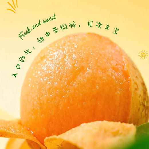 【米易枇杷】树熟枇杷皮薄肉厚鲜甜多汁 果型饱满色泽金黄 商品图3