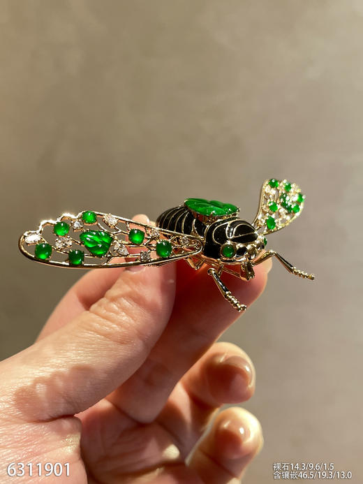 6311901，知了胸针。具体价格微信咨询 商品图2
