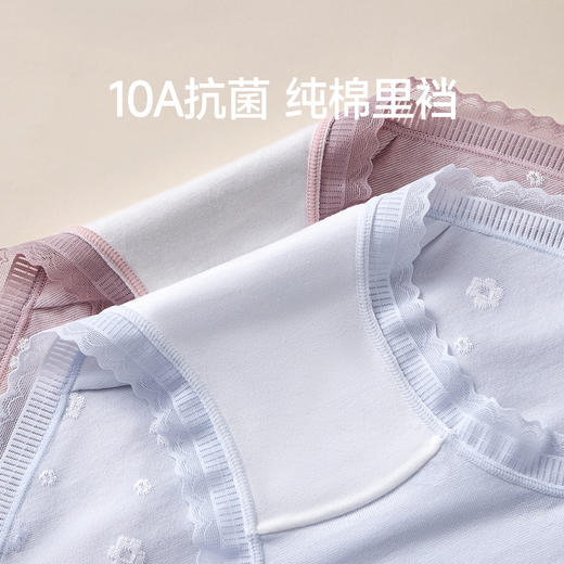 芬腾中腰女新款内裤yc0225015 商品图2
