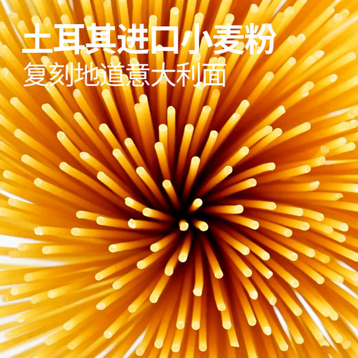 自然之励意大利面100g(售卖款)*10袋 商品图1
