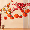 春节不打烊【柿柿如意❗️喜气洋洋】2026新年装饰柿子小灯笼盆栽植物蜂窝球小挂件福桶材料。jd 商品缩略图3