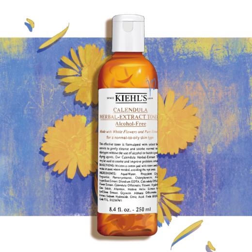 春节不打烊 【送礼盒礼袋】科颜氏全家福大礼包 （高保湿面霜125ml+精华液100ml+白泥面膜125ml+金盏花水250ml） 一般贸易 商品图6