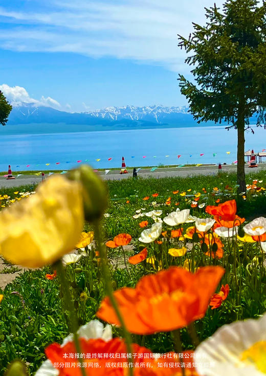 秘境伊犁双飞8天 商品图2