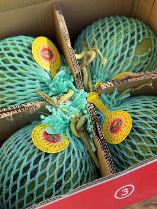 冰糖麒麟西瓜 商品图6