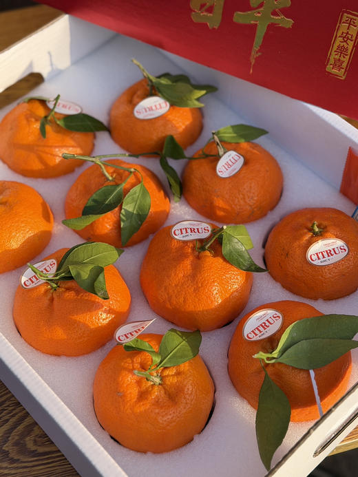 特级超大甘平柑橘 商品图5