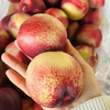 脆甜油桃，约2.5斤/份，软硬两吃 商品缩略图1