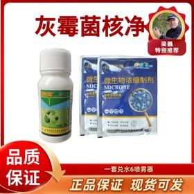 【预防】灰霉菌核净  主要预防灰霉病  一套6桶水