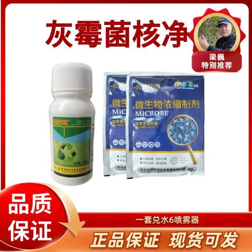 【预防】灰霉菌核净  主要预防灰霉病  一套6桶水 商品图0