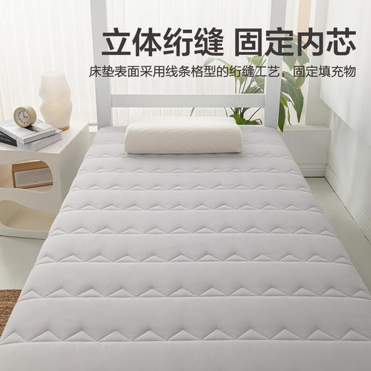 VP922152292063 博洋家纺 学生宿舍专用床垫家用四季保护垫床褥榻榻米垫褥子床铺盖可折叠【5CM 180*200cm】 商品图1