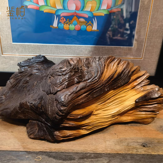 「鉴柏」崖柏雷击木摆件 商品图4