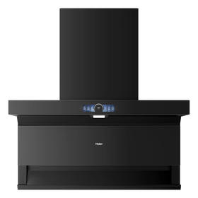 海尔（Haier）烟机 CXW-358-E900C75