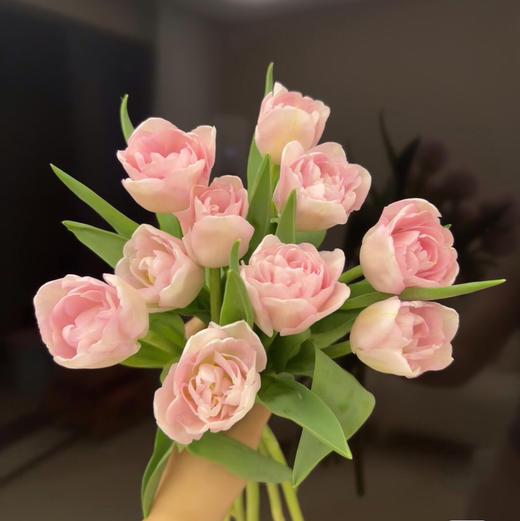 郁金香.猫爪慕斯 商品图1