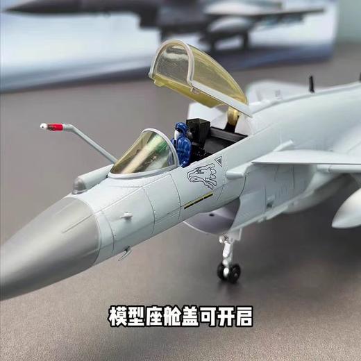 【中航工业官方正品 长春航展、九三阅兵纪念品-新品重磅】特尔博-1:48 歼10C飞机模型合金模型 商品图4