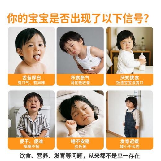 葆迪乐牛脾肽鸡内金 商品图1