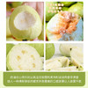 【芭乐】树熟芭乐果香四溢清甜爽口 冰淇淋口感软糯香甜（红心/白心） 商品缩略图11