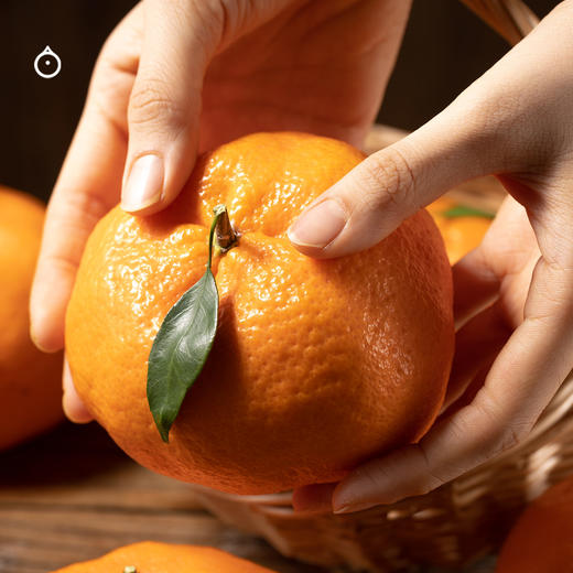 2月24日起发企鹅市集|四川眉山 甘平蜜橘 礼盒装/家庭装可选 滋味浓郁 果粒分明 商品图3