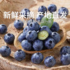 【云南蓝莓】花香型蓝莓果香四溢脆甜多汁产地直发 商品缩略图0