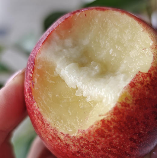 脆甜油桃，约2.5斤/份，软硬两吃 商品图0