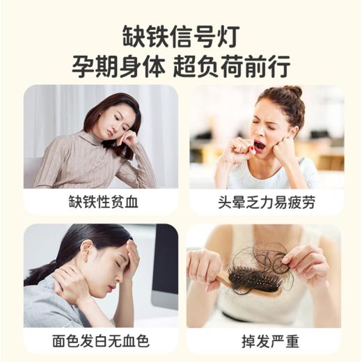 葆迪乐铁维生素B2B6口服液 商品图2