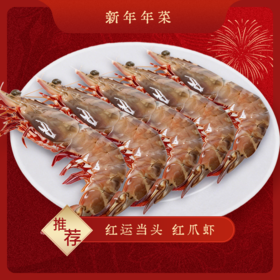 【红运当头】野生红爪虾 240g4只 手掌大的虾 肉质紧实 鲜甜