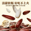 云南大颗粒红皮生瓜子250g 颗颗精选无坏果 粒大饱满 香脆新鲜 商品缩略图2
