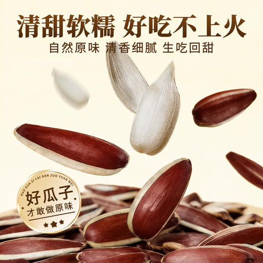 云南大颗粒红皮生瓜子250g 颗颗精选无坏果 粒大饱满 香脆新鲜 商品图2