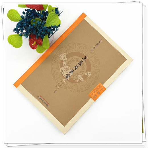 王孟英医案（清）王士雄 原著（中医临证经典文库）中国中医药出版社 明清中医临证小丛书 古典医籍 书籍 商品图1