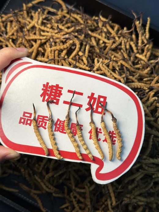 【喜乐元宵节】【25年西藏那曲干虫草】精选优质核心产区  西藏那曲野生冬虫夏草 饱满营养价值高   小草5根/克 自吃高性价比 商品图1