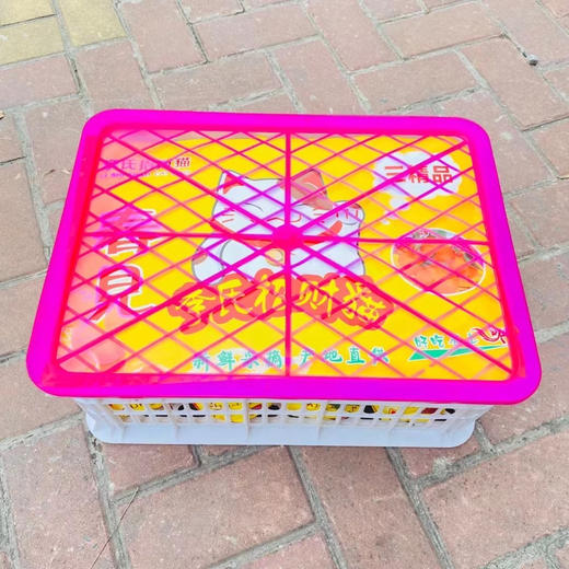 招财猫春见家庭装（大框）毛重12斤 商品图3