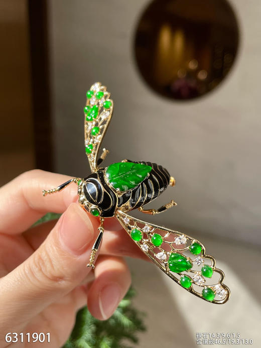 6311901，知了胸针。具体价格微信咨询 商品图3